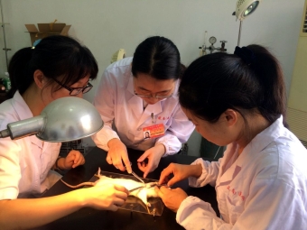 党员教师张翠指导研究生实验操作